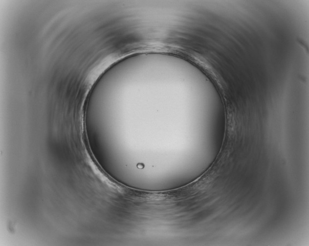 X0000100861479200807070921