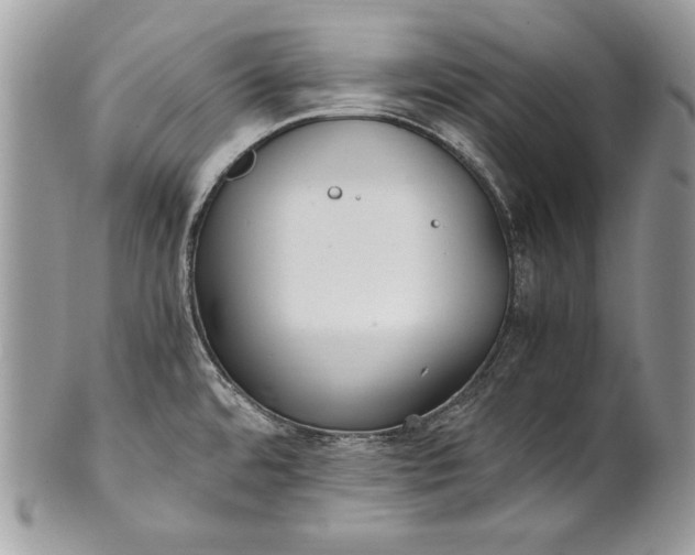 X0000100861480200807070921