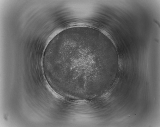 X0000100861482200807070921