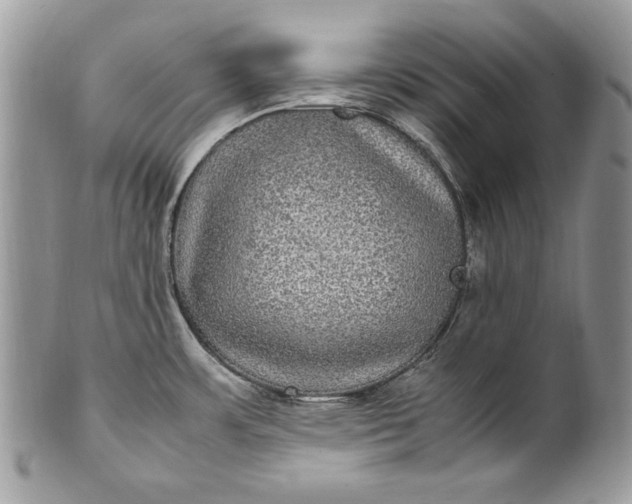 X0000100861483200807070921