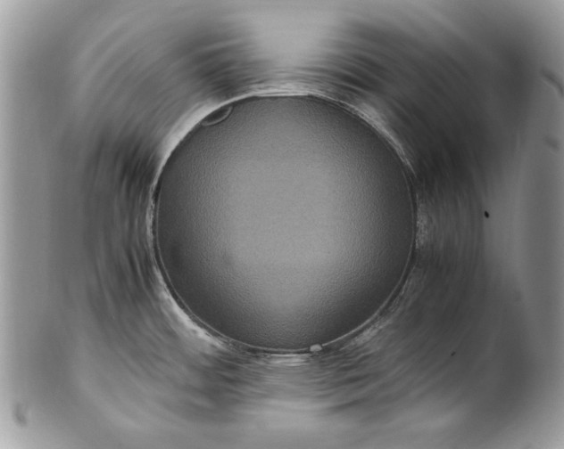 X0000100861484200807070921