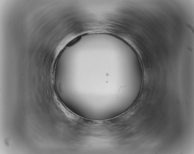 X0000100861485200807070921