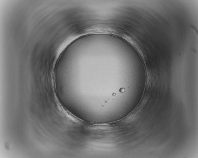 X0000100861486200807070921