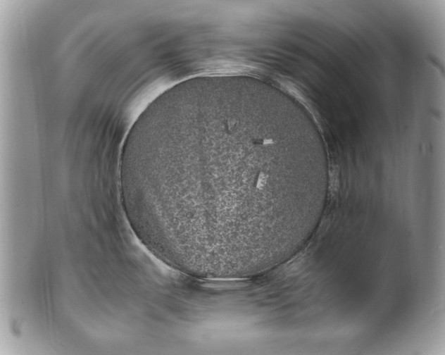 X0000100861487200807070921