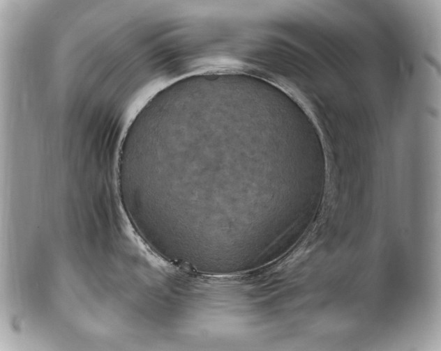 X0000100861488200807070921