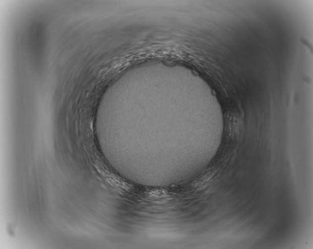 X0000100861489200807070920