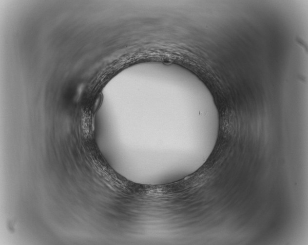 X0000100861490200807070920