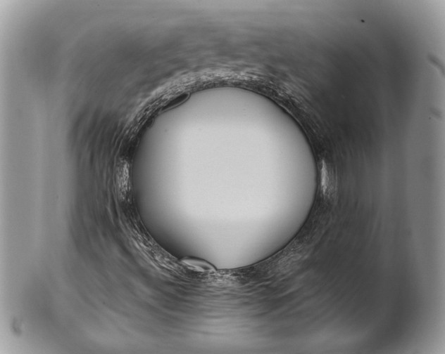 X0000100861492200807070920