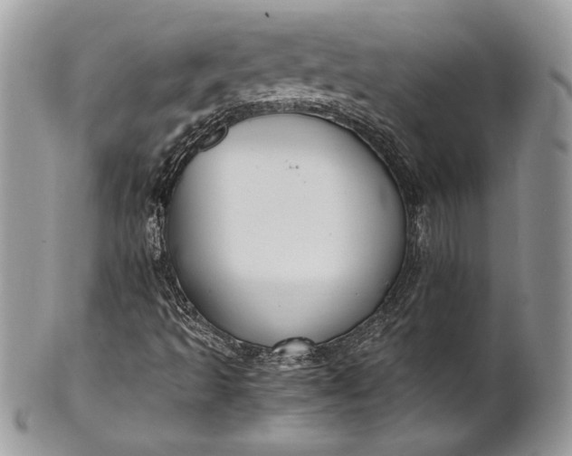 X0000100861493200807070920