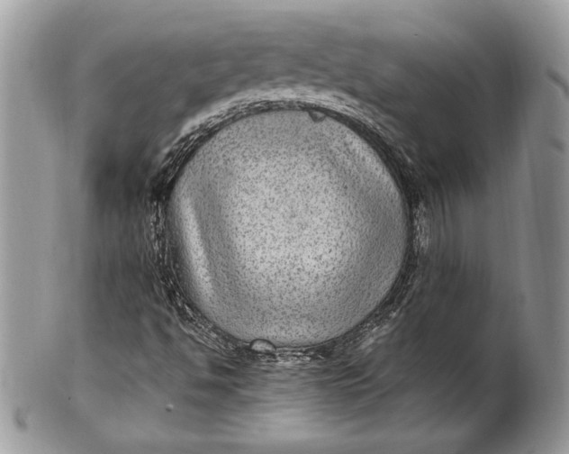 X0000100861494200807070920