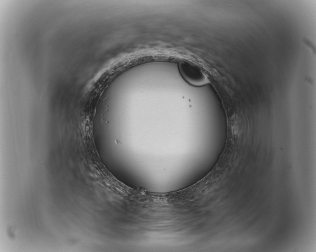 X0000100861495200807070920