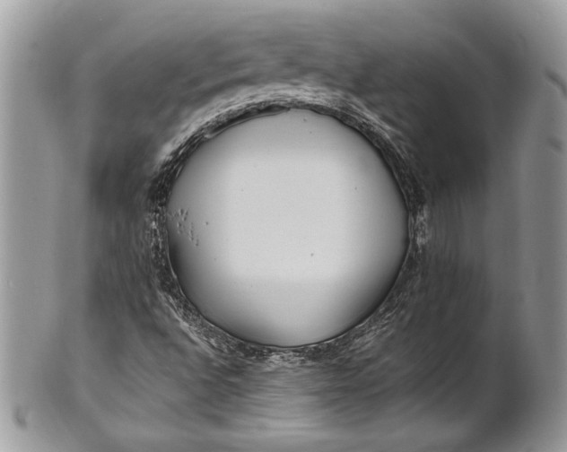 X0000100861496200807070920