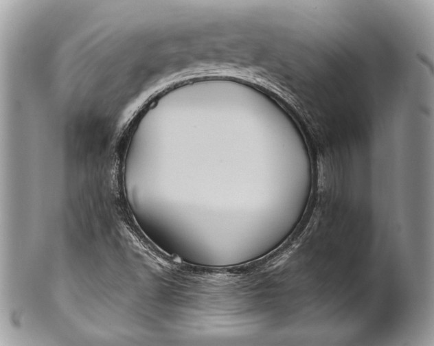 X0000100861502200807070920