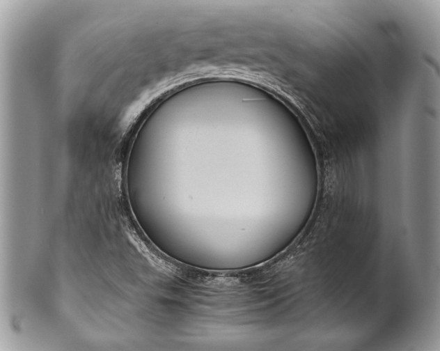 X0000100861503200807070920