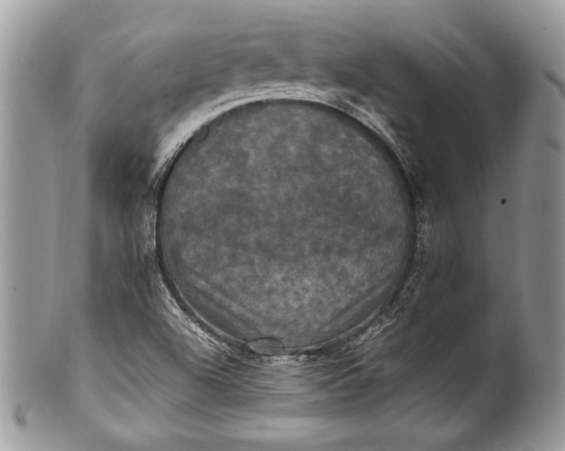 X0000100861504200807070920