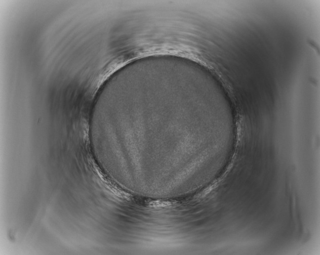 X0000100861505200807070921