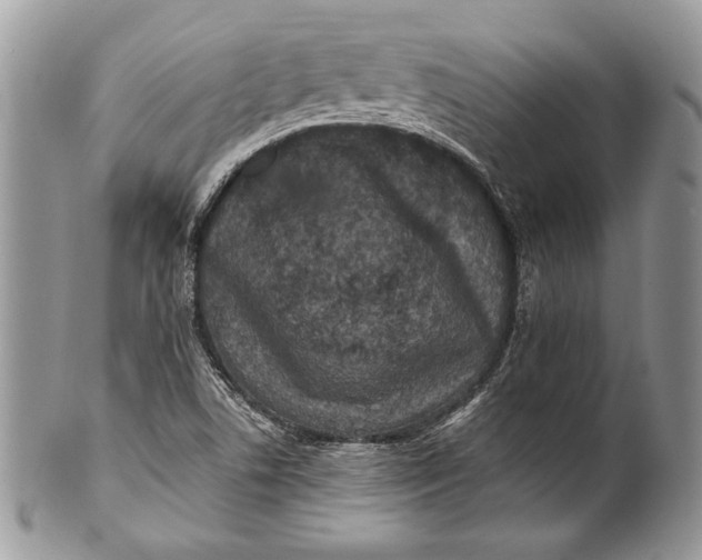 X0000100861506200807070921