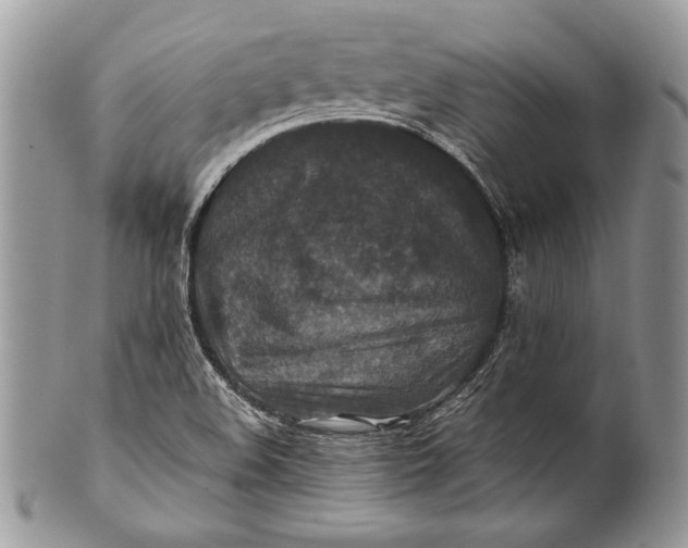 X0000100861508200807070921