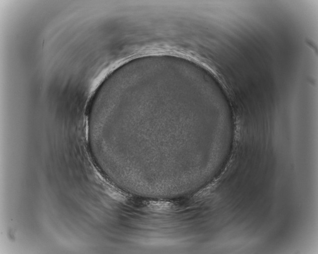 X0000100861509200807070921