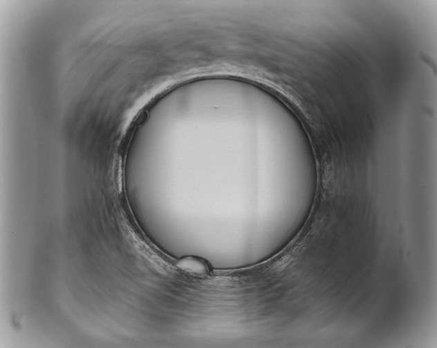 X0000100861510200807070921