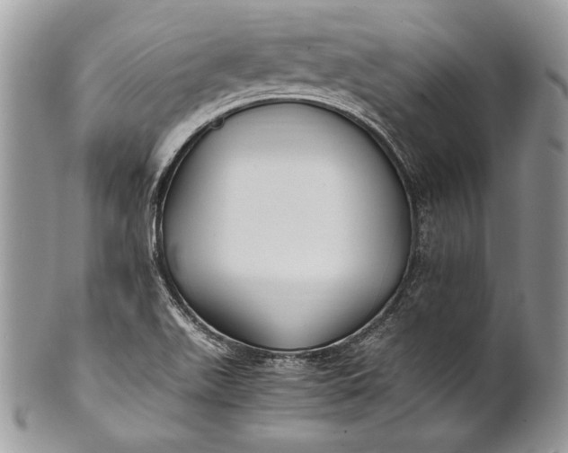 X0000100861511200807070921