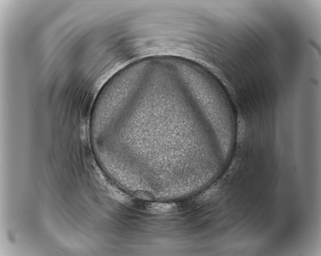 X0000100861513200807070921