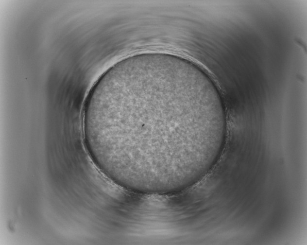 X0000100861514200807070921