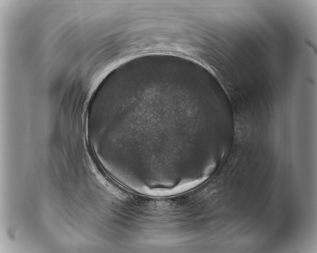 X0000100861515200807070921