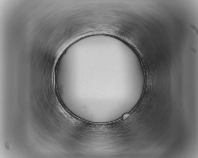 X0000100861516200807070921