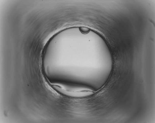 X0000100861518200807070921