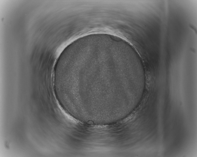 X0000100861519200807070921