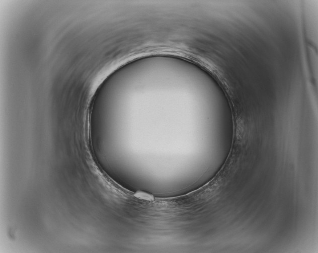 X0000100861520200807070921