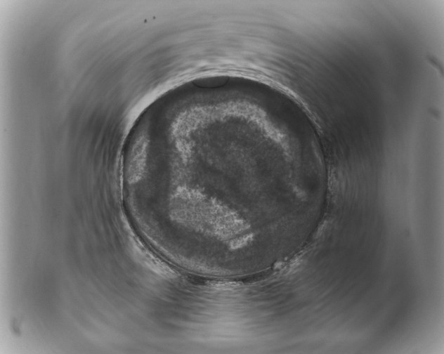 X0000100861522200807070921