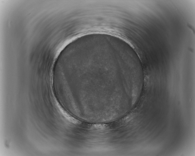 X0000100861523200807070921