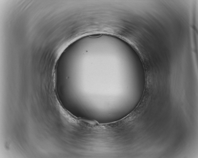 X0000100861524200807070921