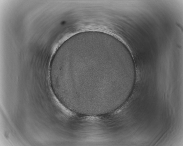 X0000100861525200807070921