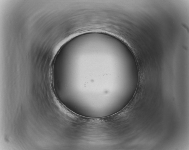 X0000100861526200807070921