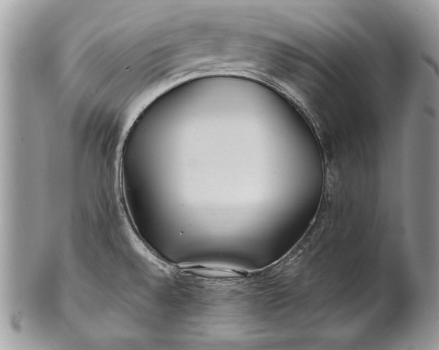 X0000100861528200807070921