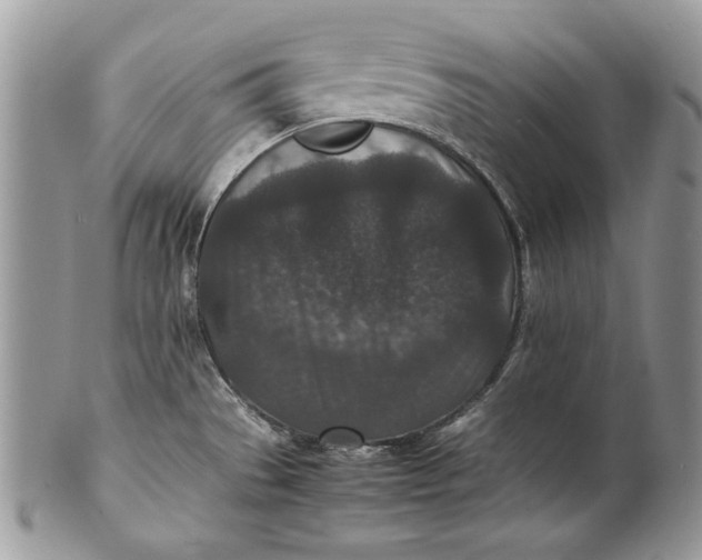 X0000100861529200807070921