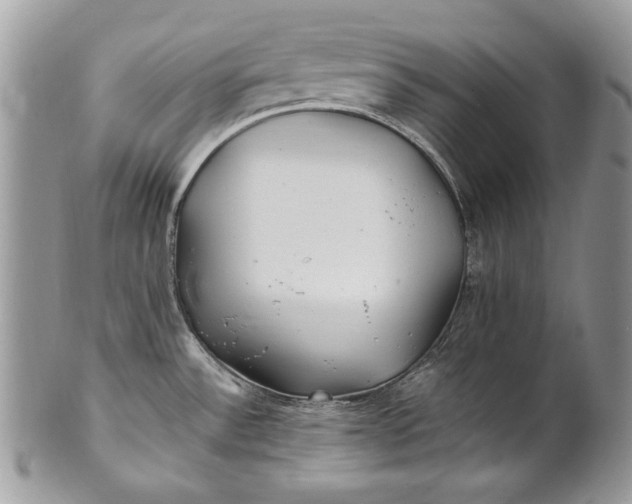 X0000100861532200807070921