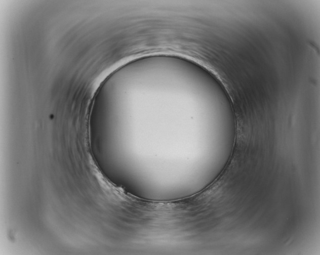 X0000100861534200807070921