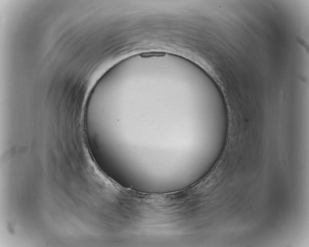 X0000100861536200807070921