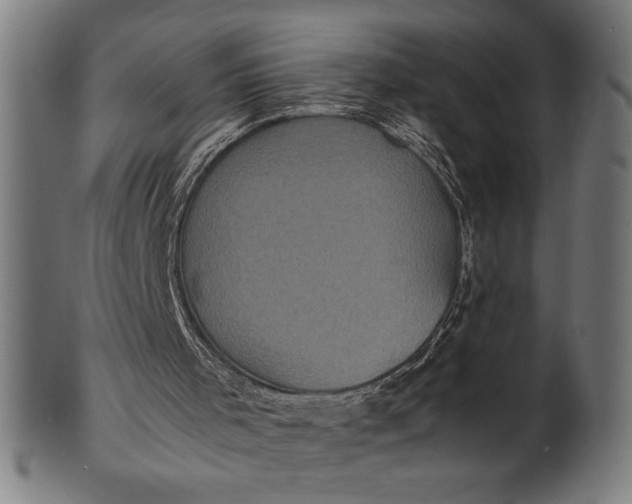 X0000100860001200807111304