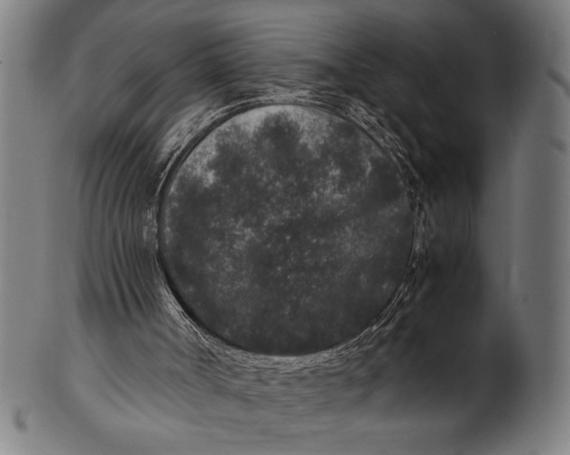 X0000100860002200807111304