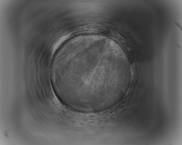 X0000100860003200807111304