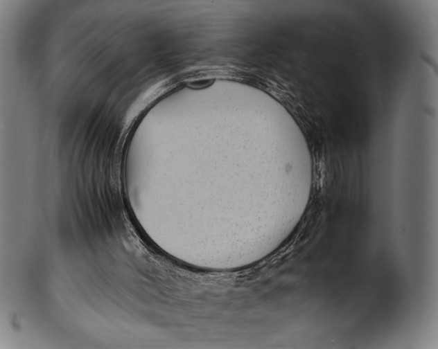 X0000100860004200807111304