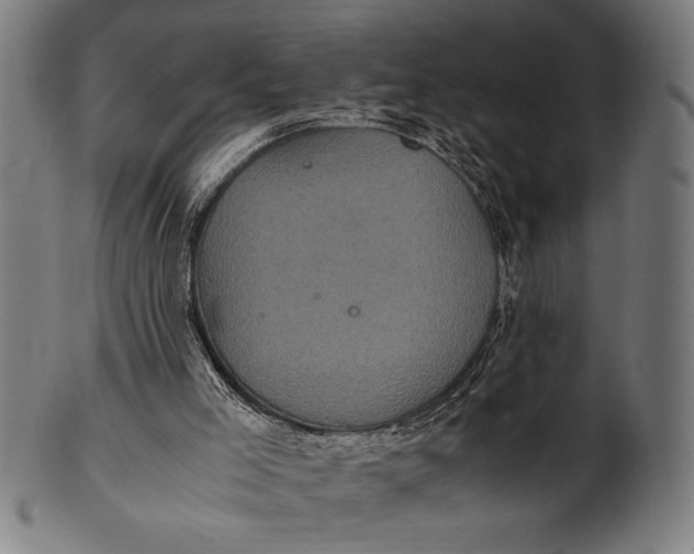 X0000100860005200807111304