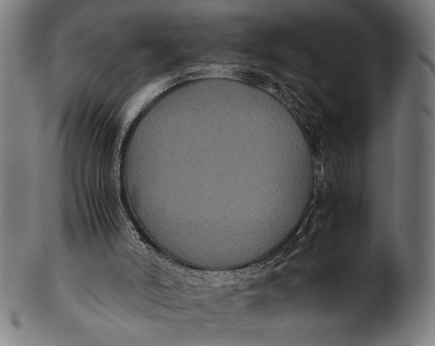 X0000100860006200807111304