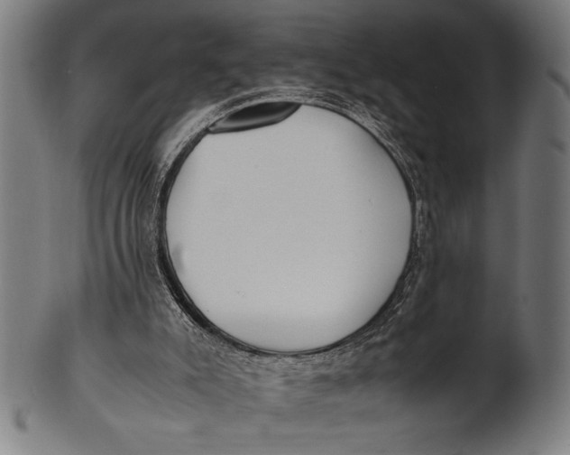 X0000100860007200807111304