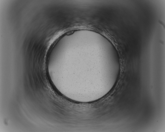 X0000100860008200807111304